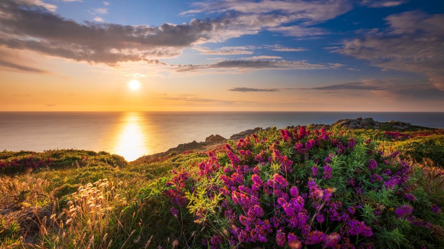 Море горы цветы