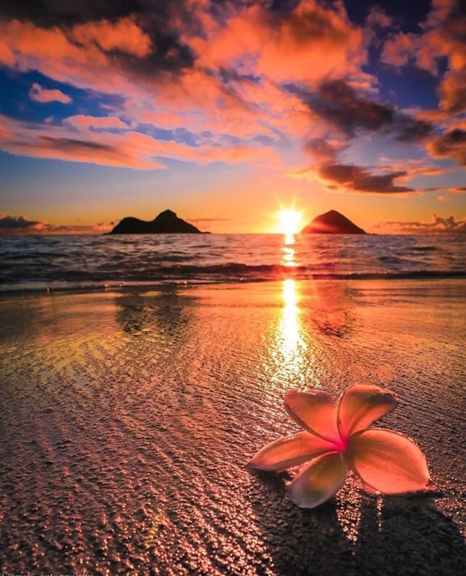 Романтичный закат