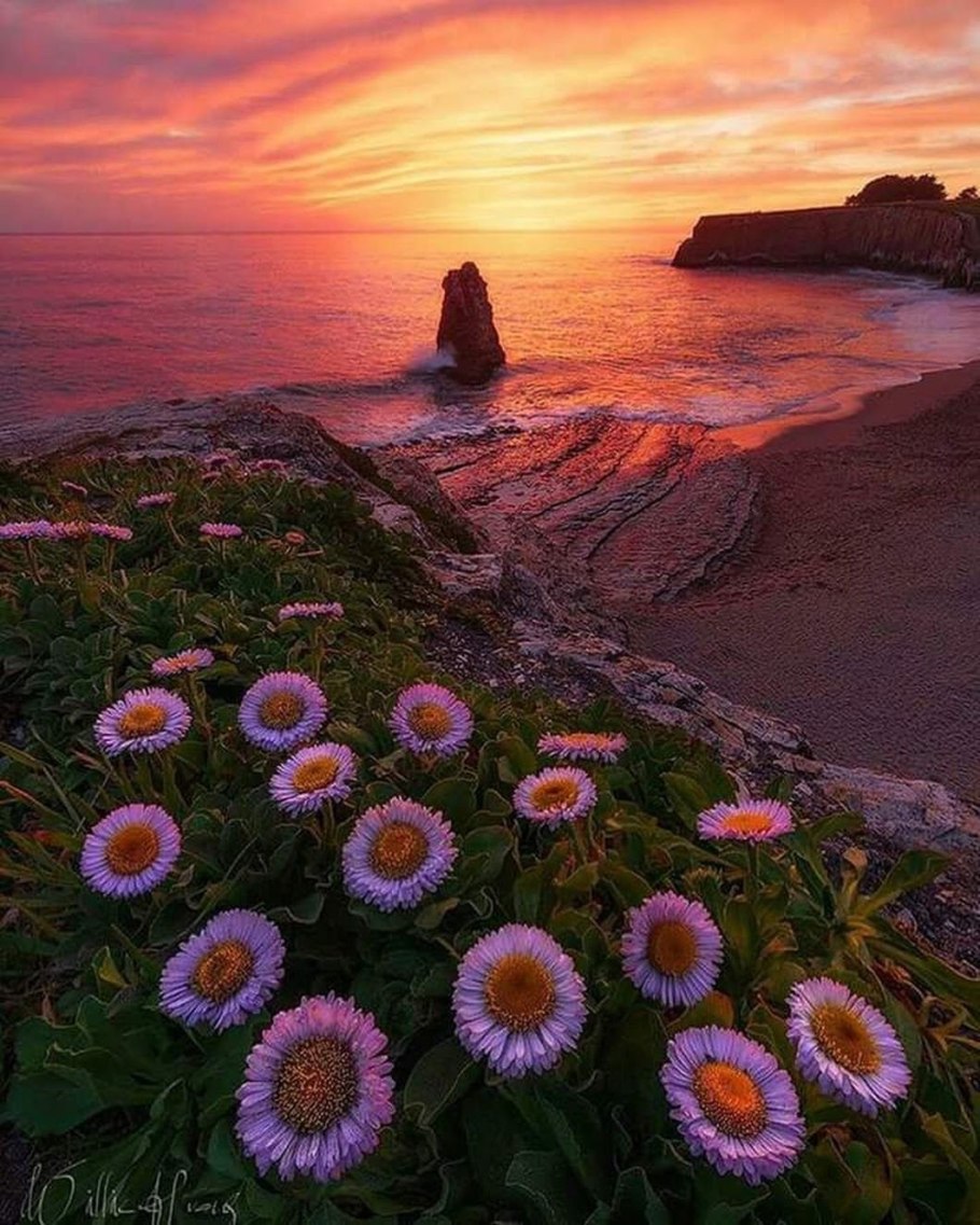 Природа закат