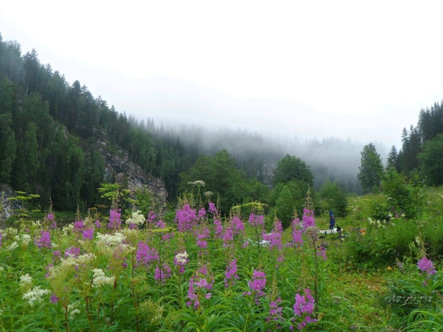 Флора Урала