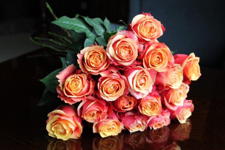 Роза чайно-гибридная черри бренди