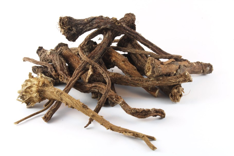 Одуванчик лекарственный сырье