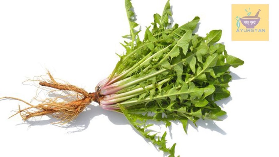 Трава одуванчик (корень) 40г