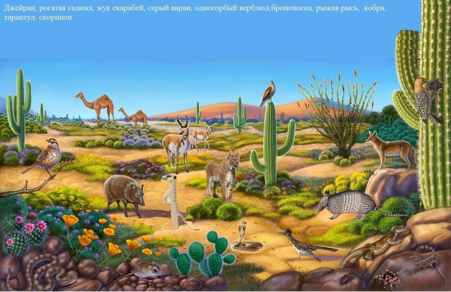 Экосистема пустыни
