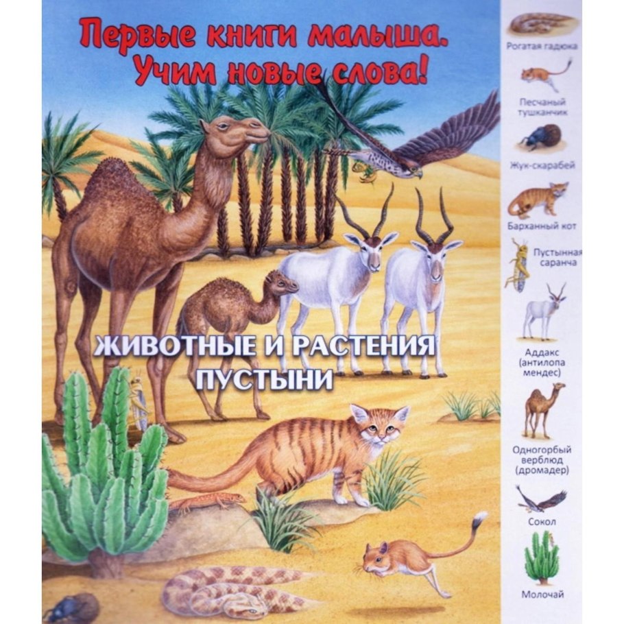 Животные и растения в постини