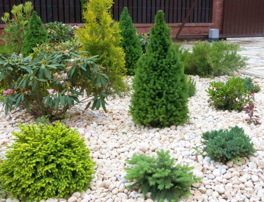 Миксбордер с туей Смарагд