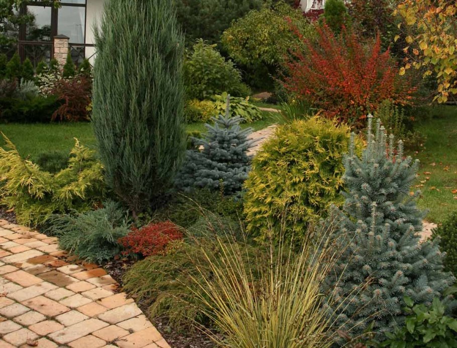 Туя Смарагд в ландшафте