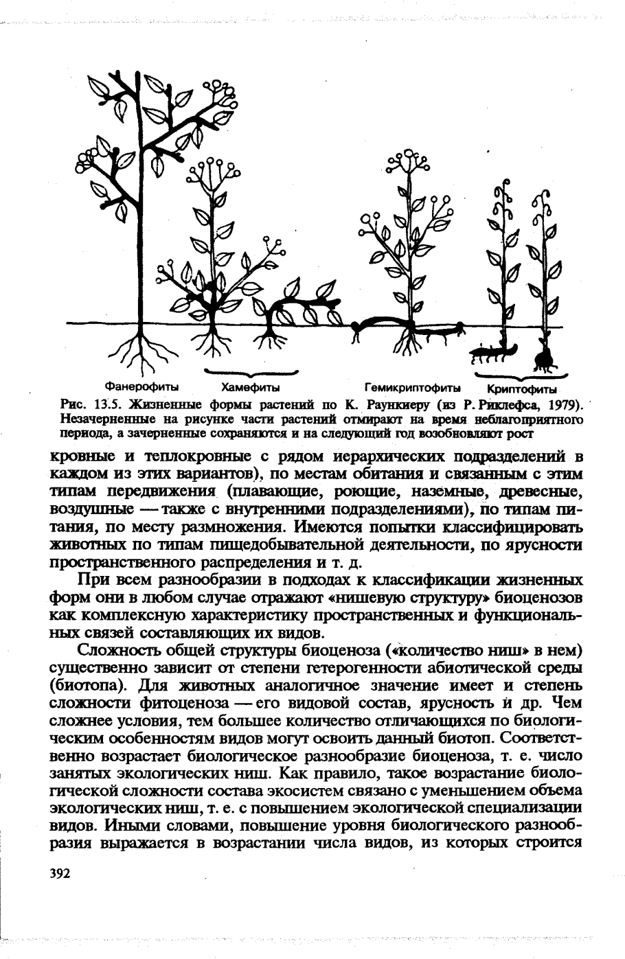 Жизненные формы покрытосеменных растений (по и. г. Серебрякову, 1964)
