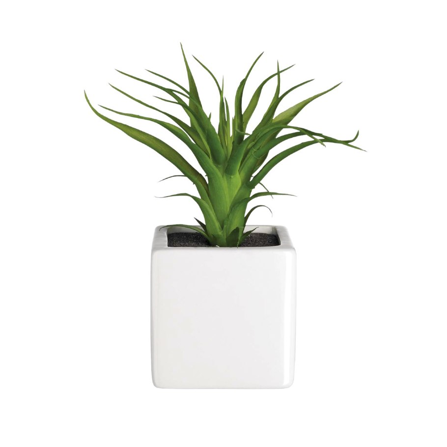 Цветы в горшках