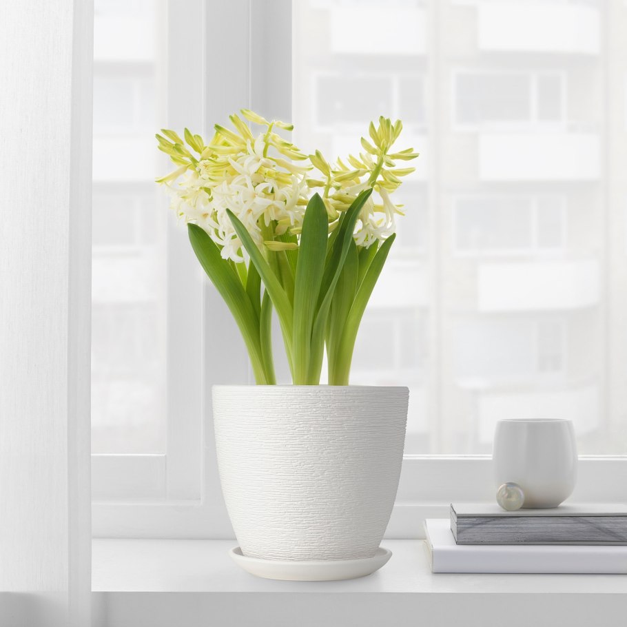 Кашпо Lechuza Rondo 40