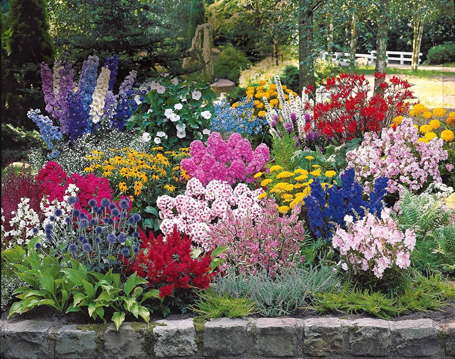 Многолетние цветы низкорослые примула