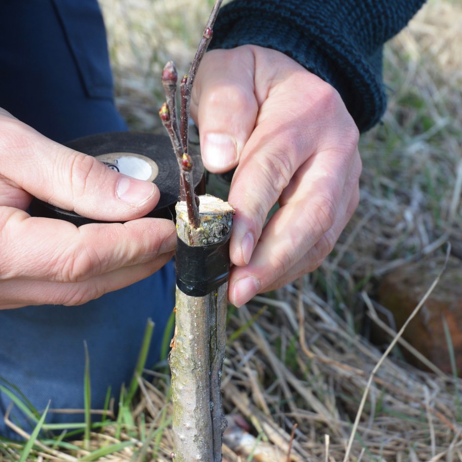 Холодильник Toshiba gr-rt565rs(LS)