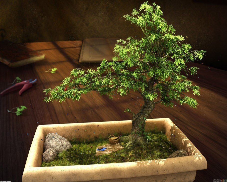 Бонсай гигант