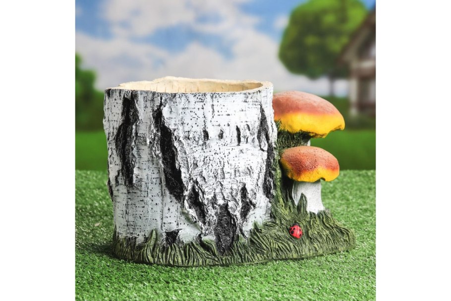 Белый грибок в цветочных горшках