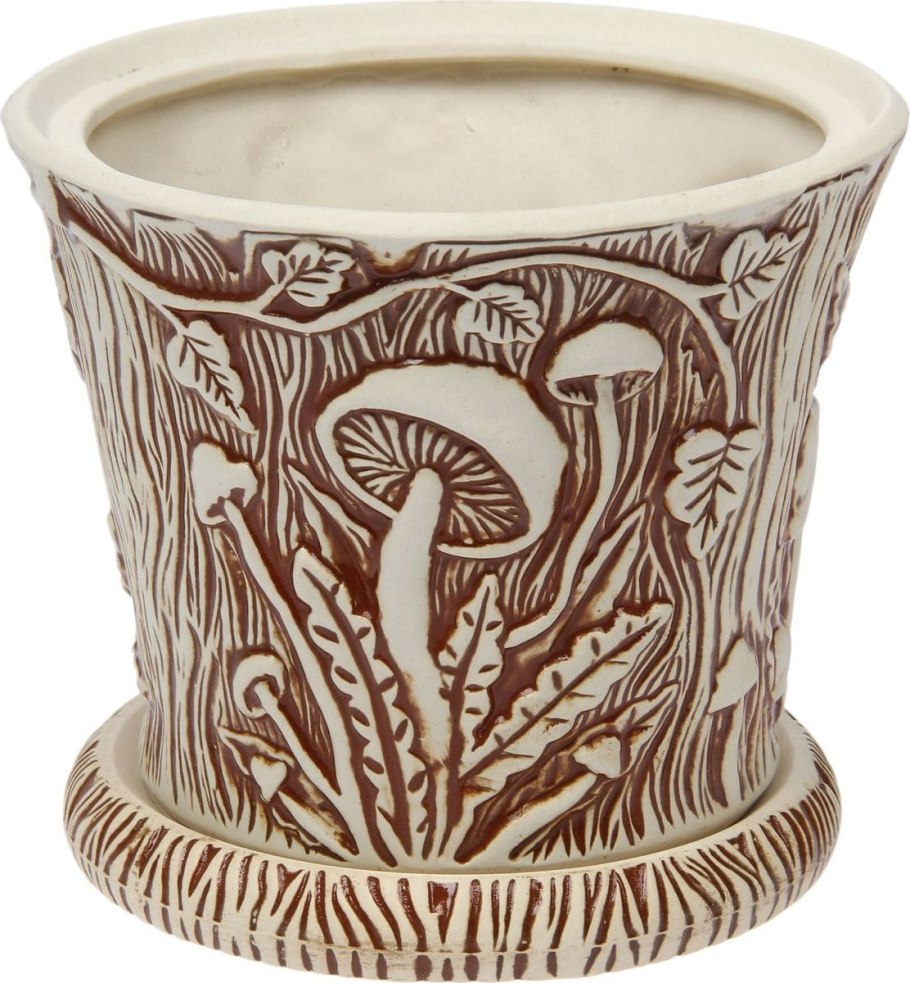 Грибы композиция