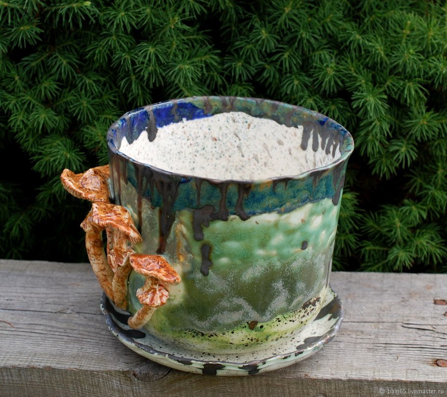 Плесень на цветах комнатных