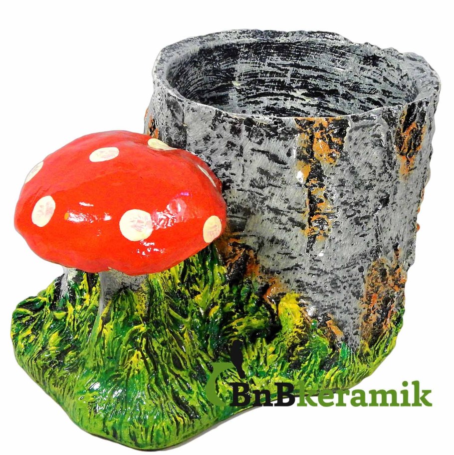 Растения от грибка в доме