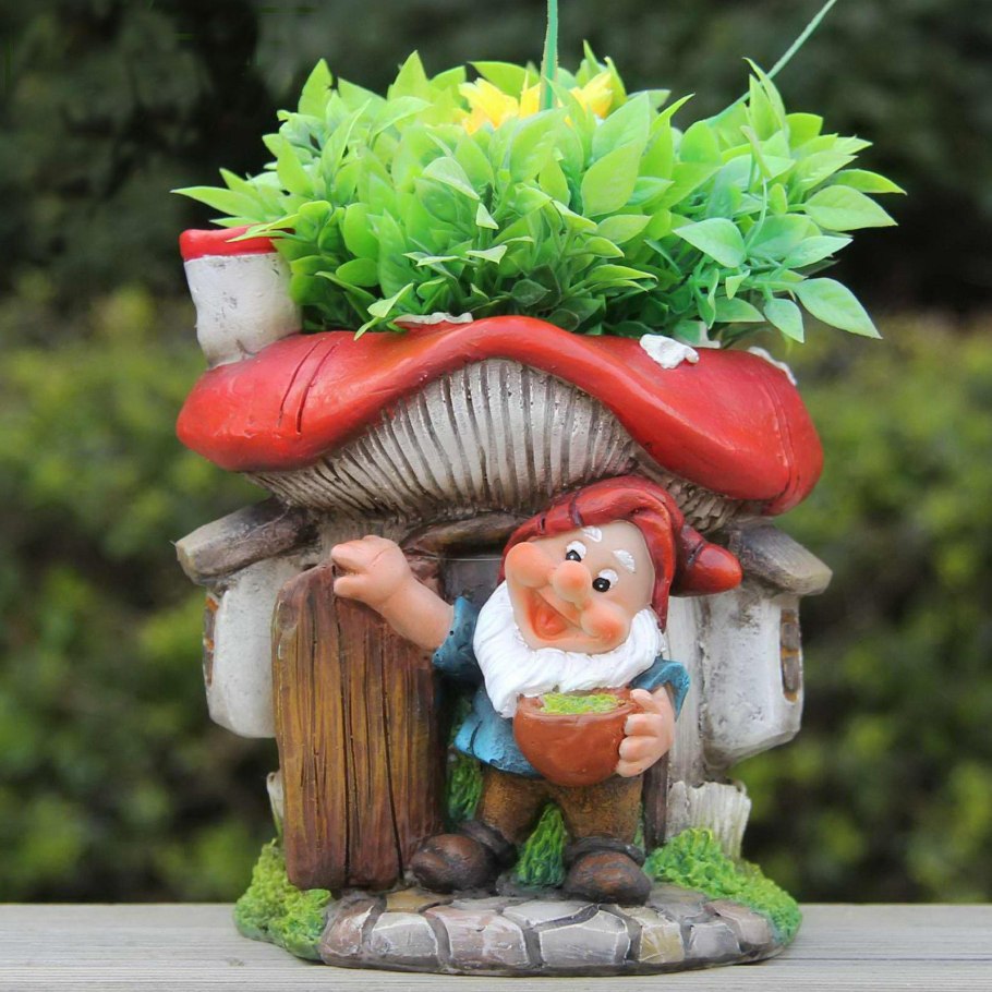 Опыта грибы