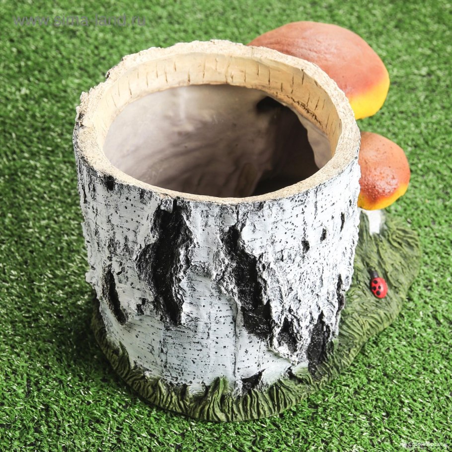 Березовый пенек