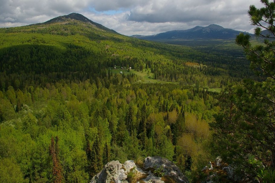 Национальный парк Зюраткуль растения
