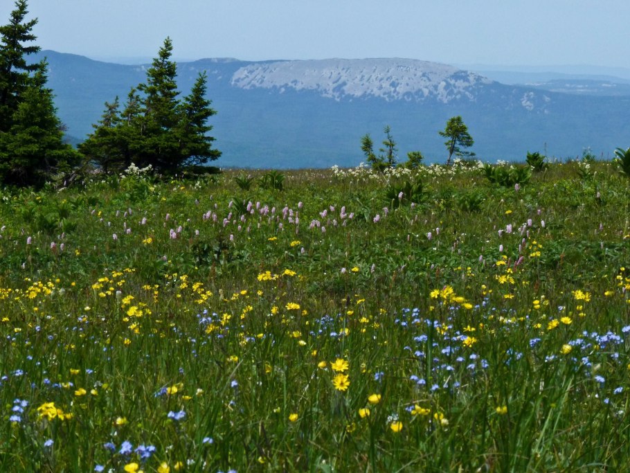 Природа Южного Урала Солнечная Поляна