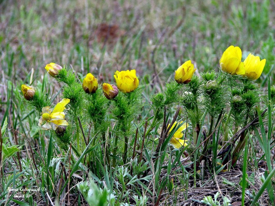 Приполярный Урал поселок Неройка