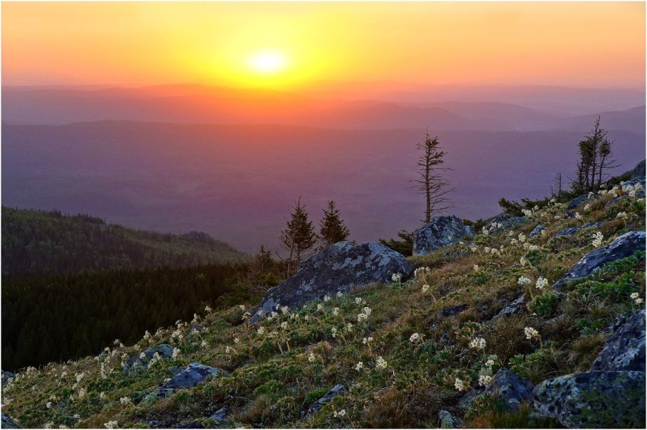 Природа Урала Весна