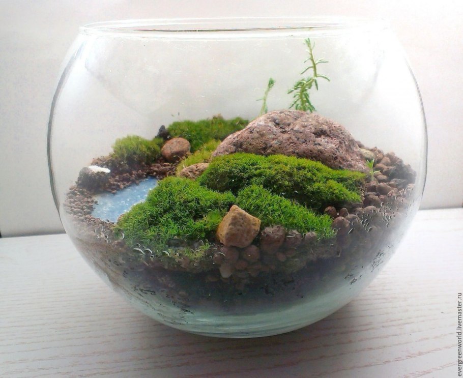 Флорариум со сфагнумом