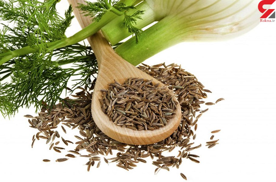 Фенхель осенний красавец