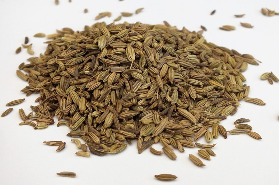 Фенхель обыкновенный плоды