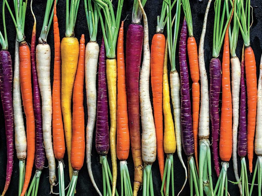 Морковь Абако f1