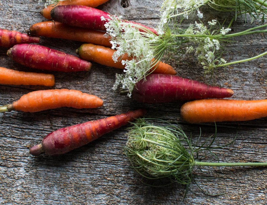 Моркови моркови Кови