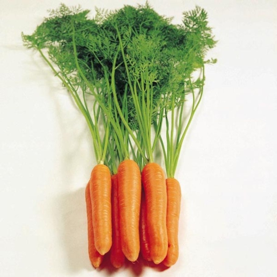 Морковь Карсон f1