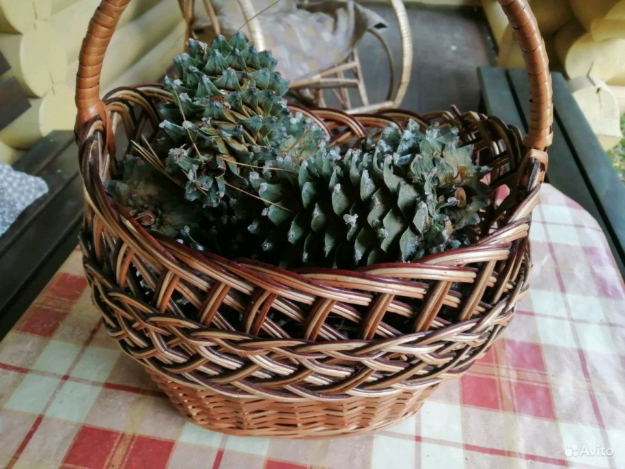 Кедровые орехи Алтай e.c.o Pine nut