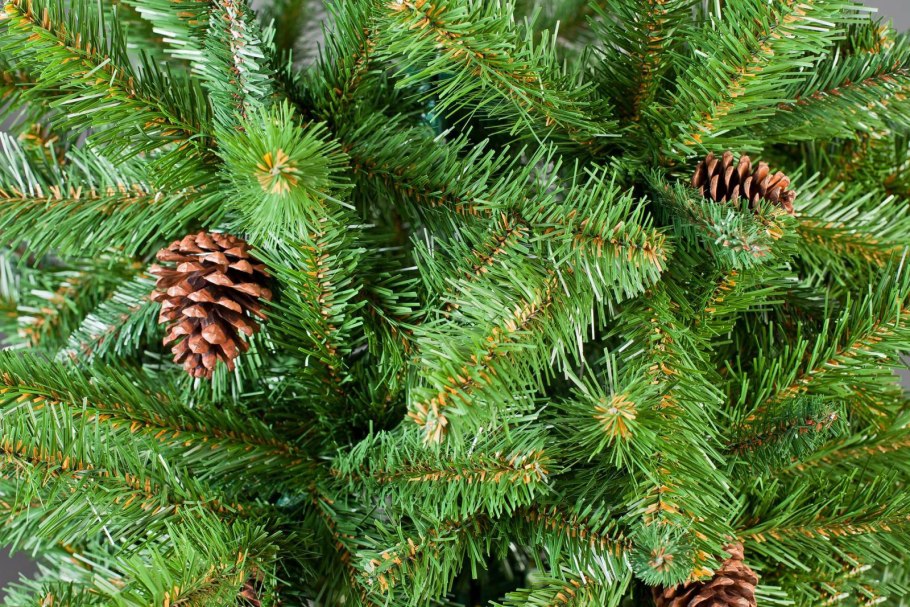 Елка Хвойная хвоинки
