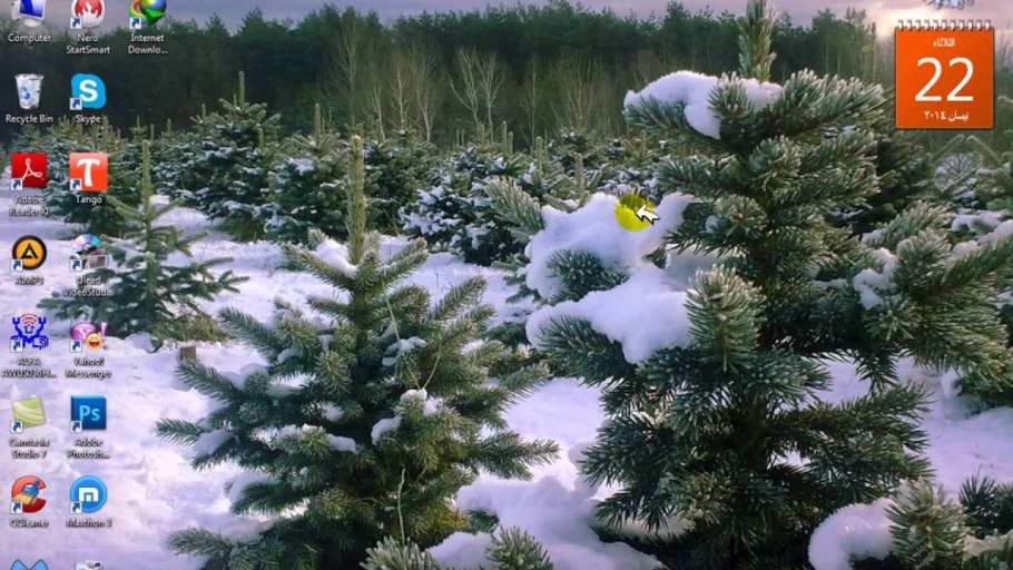 Человек несет елку