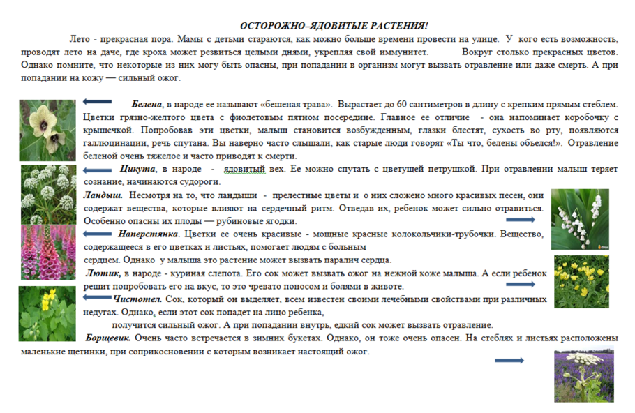 Памятка ядовитые растения