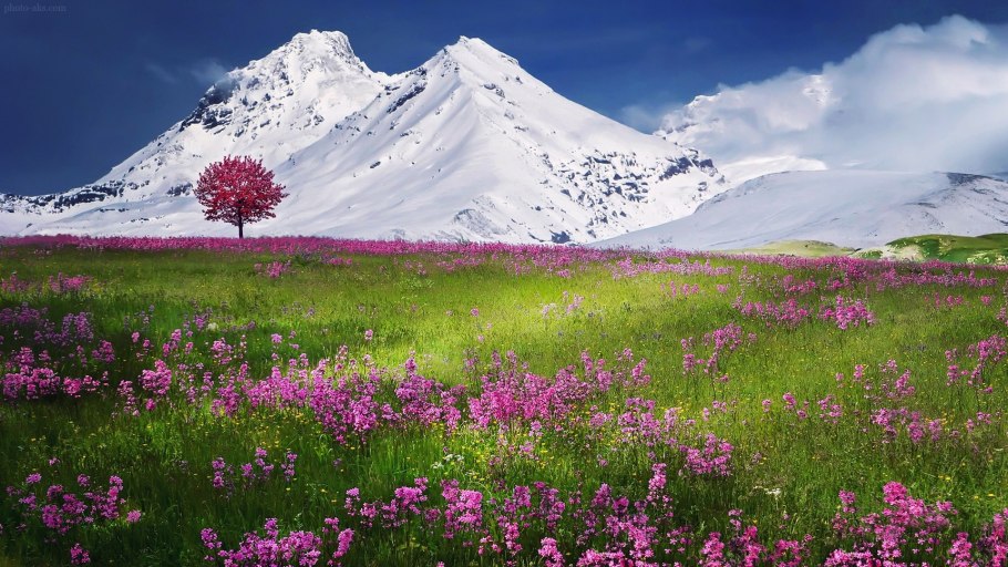 Горные Луга Приэльбрусья