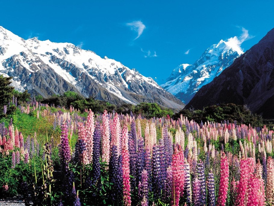 Альпийские Луга Дагестана