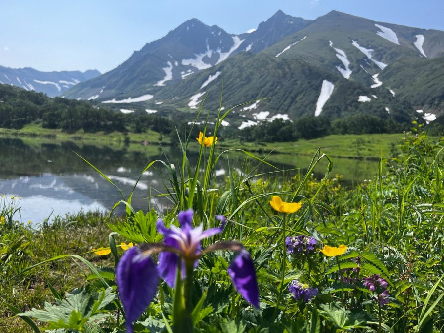 Приэльбрусье Альпийские Луга