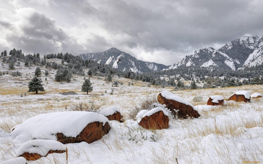 Белуха Алтай маральник