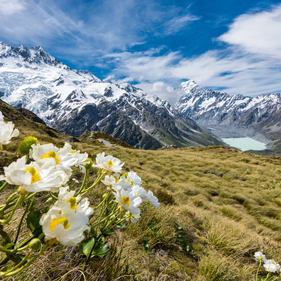 Вершина горы лето Альпы