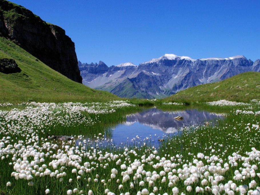 Альпийские Луга и горы