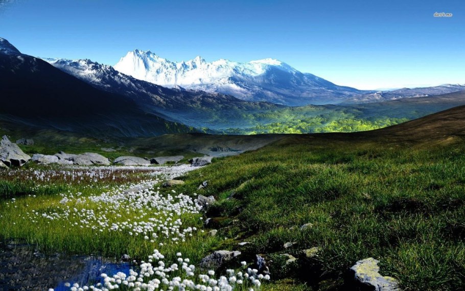 Альпийские Луга новая Зеландия