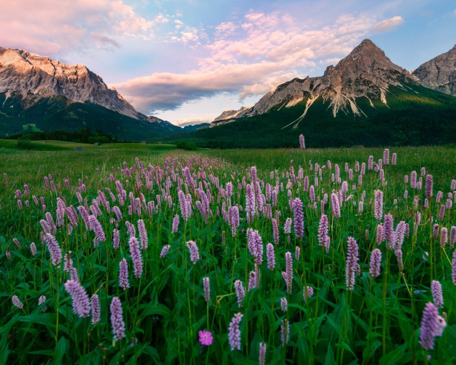 Национальный парк Маунт-Рейнир