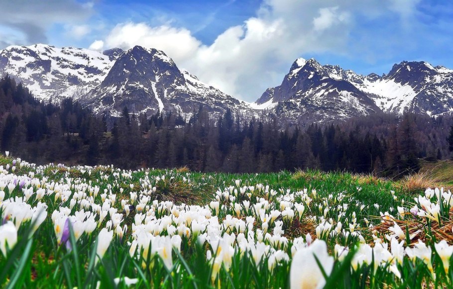 Кисловодск горы весной