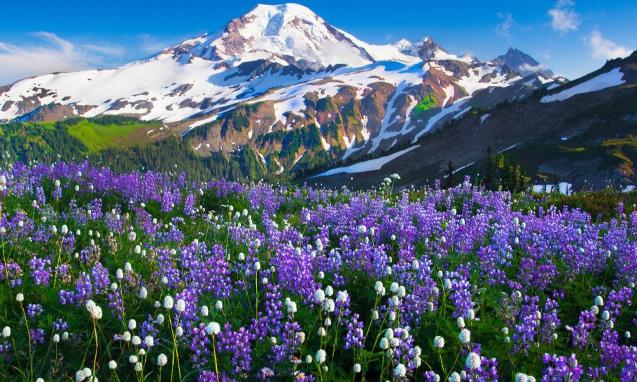 Ранняя зима в горах