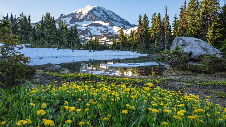 Альпийские Луга скалистые горы