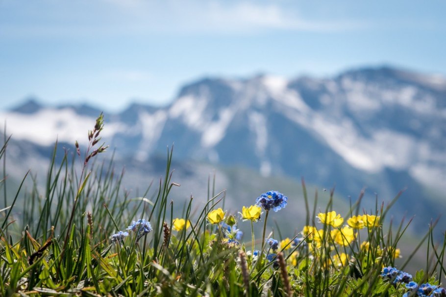 Альпийские Луга Норвегии география