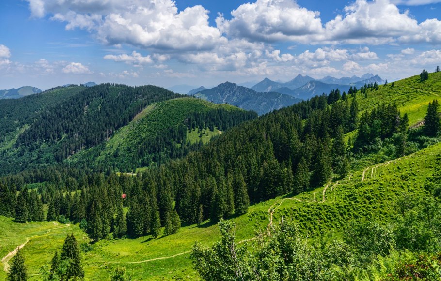 Бавария Германия баварский лес